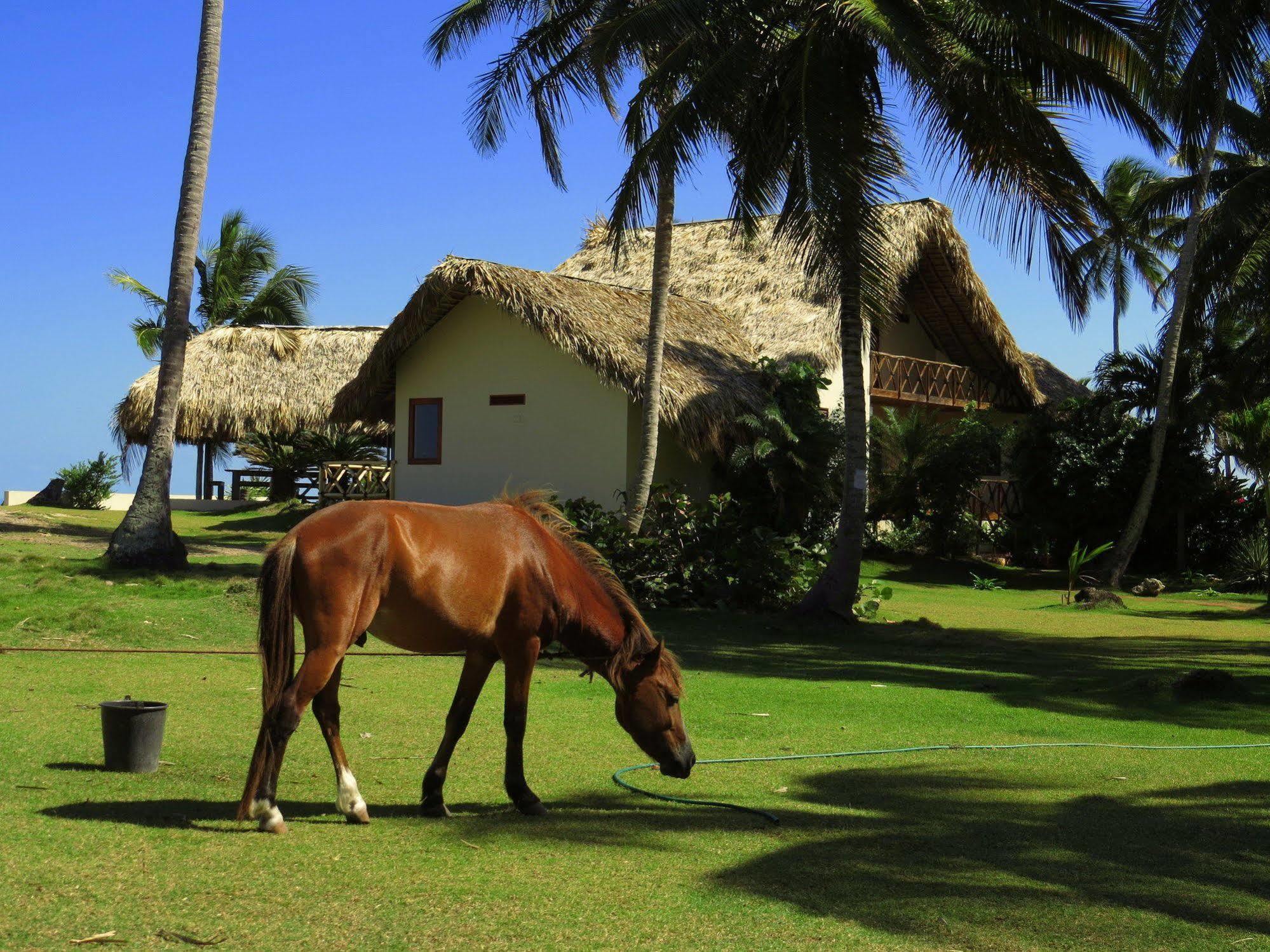 Villa Punta Coral El Francés Exteriér fotografie